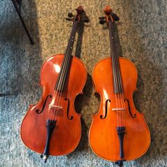 Celli des Vereins für den Musikunterricht